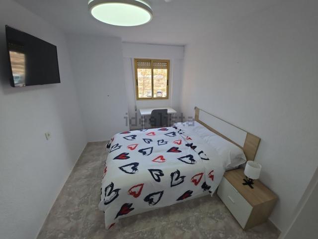 Habitación, La Florida Portazgo, Alicante / Alacant