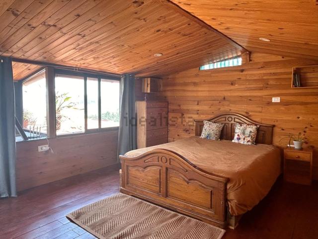 Habitación, Tacoronte