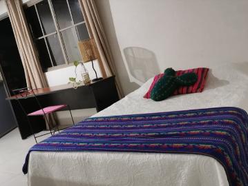 Habitación 6 CASA AXOLOTL BY CASA ALEBRIJE