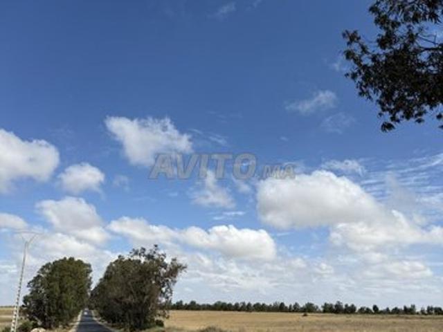 Hactare titré emplacement magnifique pour villa