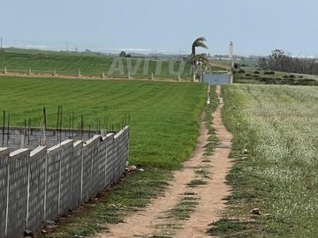 Hactare titré super emplacement a vendre