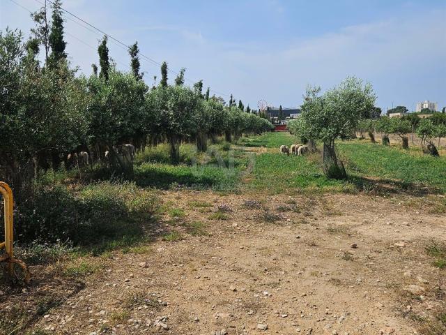 Hacienda / Cortijo 3500 m2 m² Palma de Mallorca