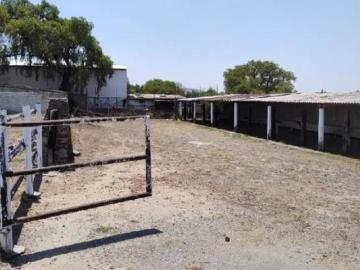 HACIENDA EN VENTA EN HIDALGO | PROPIEDAD HISTÓRICA IDEAL PARA INVERSIÓN