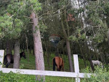 Hacienda en venta en Inga Alto, Pifo – Quito