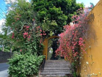 Hacienda Itzincab de Palomeque