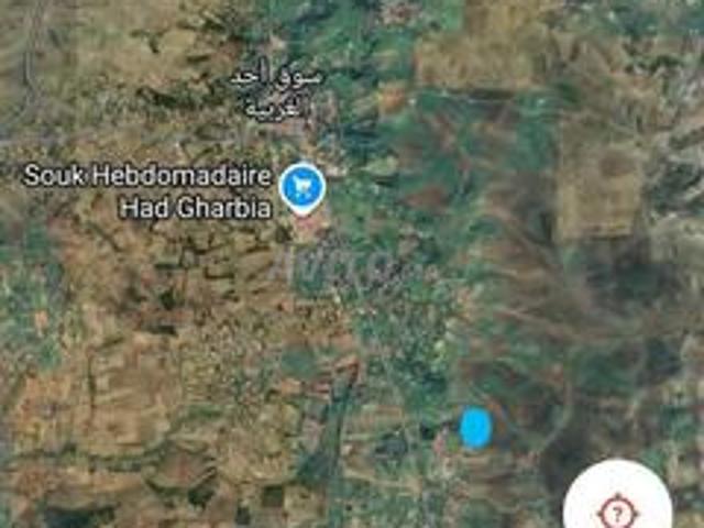 Had gharbia