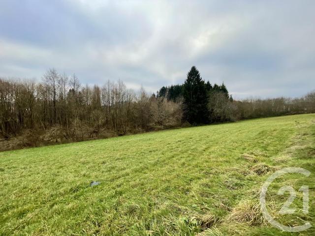 Hadol Vente Terrain 88