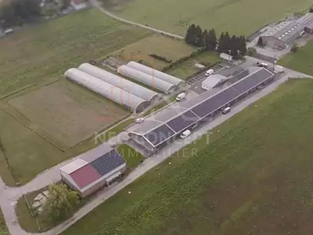 Haguenau 67500 Location divers