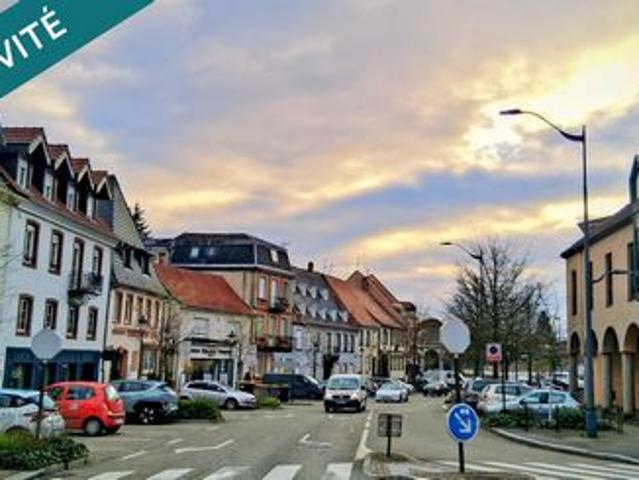 Haguenau Rez de jardin en cœur de ville