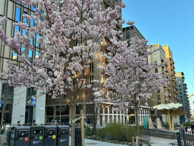 Hagaesplanaden, Stockholm