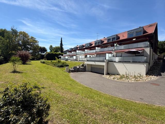 Duplex d’exception aux portes de la Suisse – Terrasse, jardin, vue forêt – Hagenthal le Bas