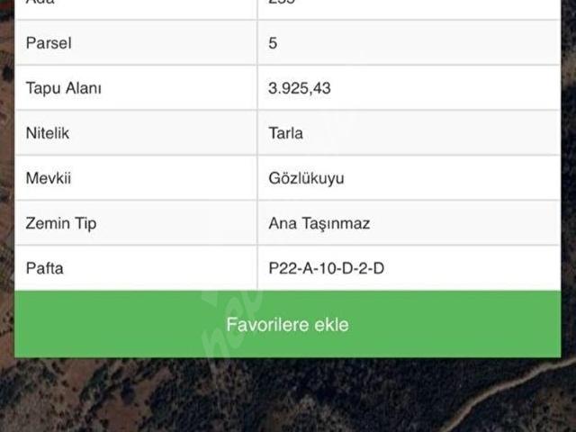 HAK EMLAK'TAN SATILIK SEYDİKEMER DODURGA MAHALLESİ'NDE SATILIK TARLA