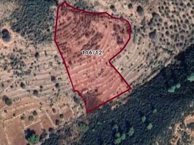 HAK EMLAK'TAN SATILIK SEYDİKEMER İZZETTİN MAHALLESİ'NDE TARLA