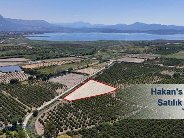 Hakan's Emlak'tan Köyceğiz'de Satılık Bahçe