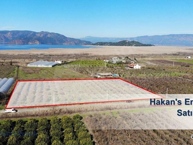 Hakan's Emlak'tan Satılık Tarla Muğla Ortaca Eskiköy