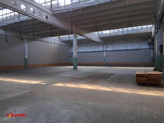Hala 860 m² z rampą i parkingiem od lipca!