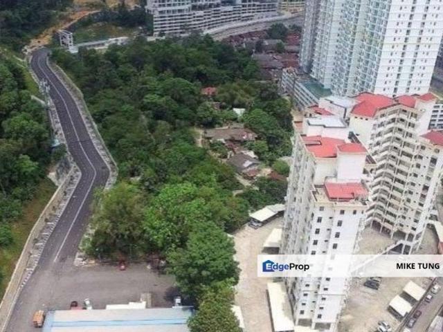 Halaman Pulau Tikus