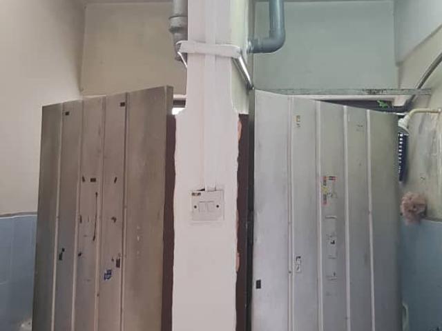 Halaman Tenggiri