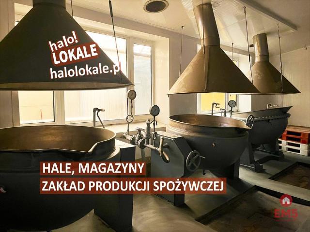 Hale produkcyjne i magazynowe 600 m2 z linią produkcyjną