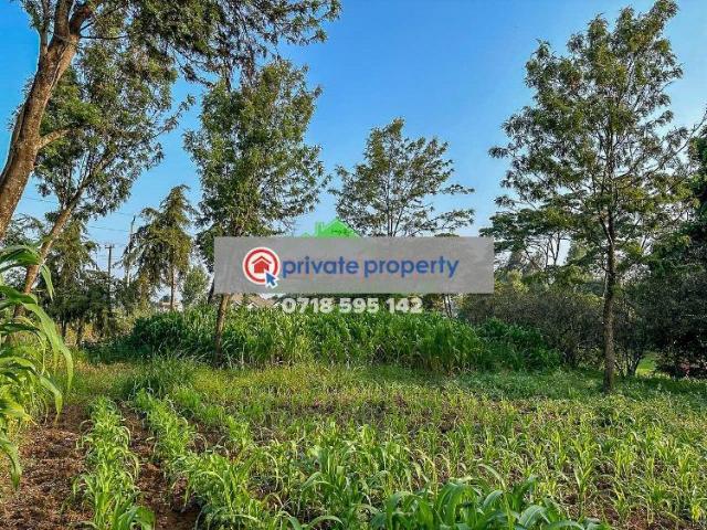 Half Acre Land On Tarmac In Limuru