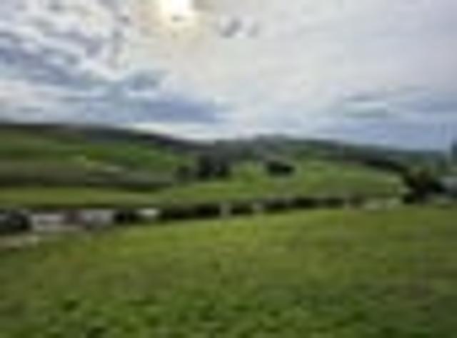 Half Acre Rural Paradise