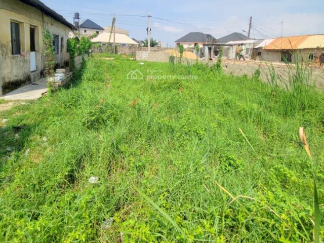 Half Plot Of Land