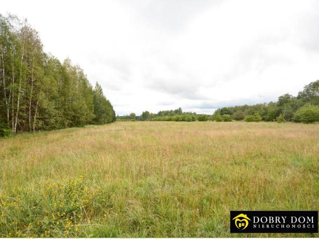 Duża działka rolna 11 300 m² z dobrym dojazdem i mediami