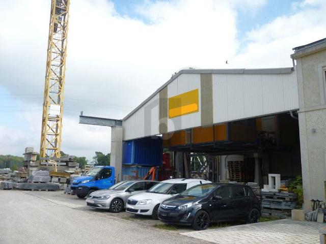 HALLE RARE, PRO ET STRATÉGIQUE