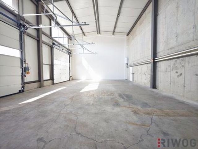 Hallen / Lager / Produktion 366 m2 Langenlebarn Unteraigen