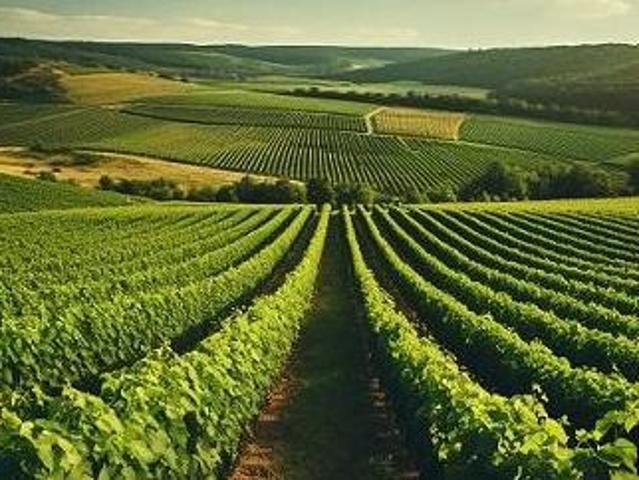 Hallen / Produktion Gols 7122 DS101010605