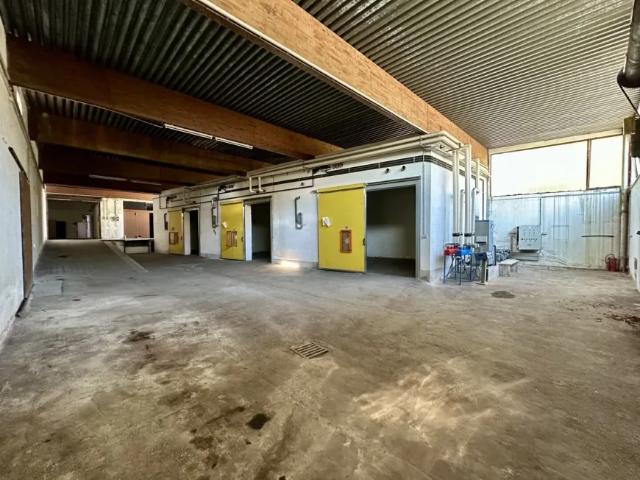 Hallen / Produktion Hainfeld Hainfeld 103486293