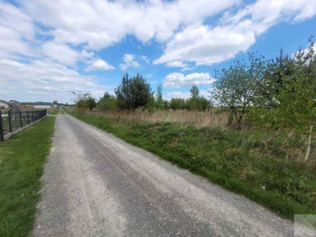 Hallera 4 200 m², Lubaczów