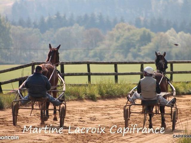 Haras 5 pièces 100 m²