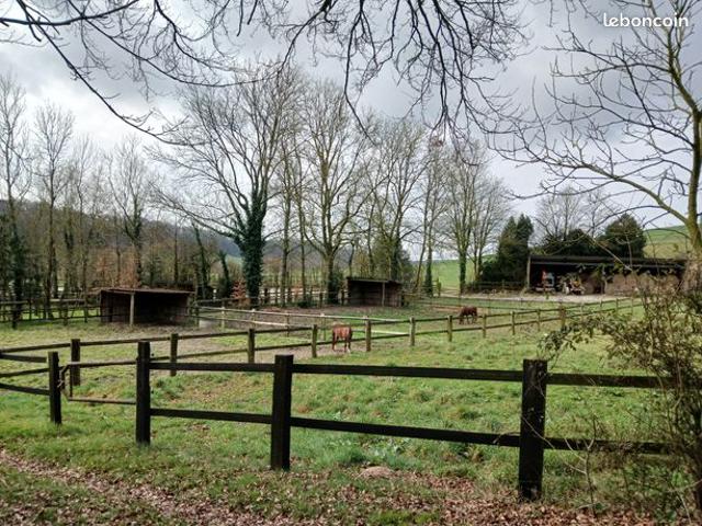 Haras d’élevage sur 30 hectares – Installations équestres complètes