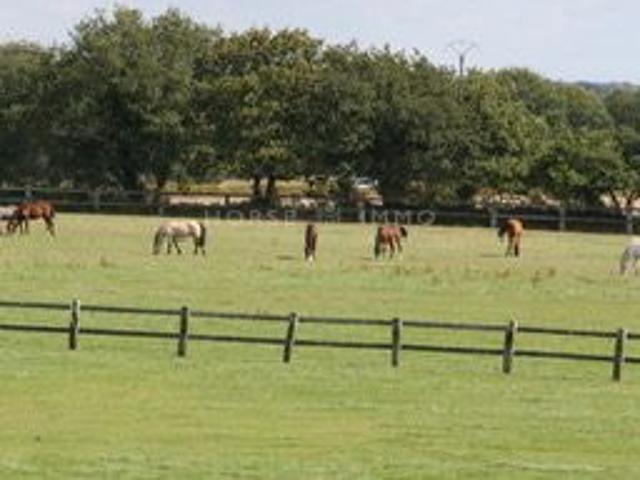 Haras de Reproduction Clé en Main sur 52 ha dans le Morbihan 5