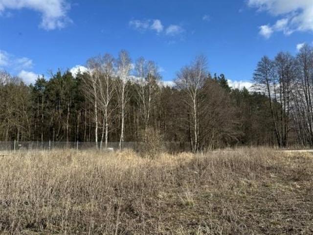 Harcerska 1 050 m², Górsk