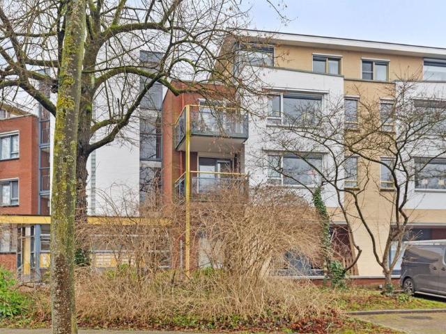 Hardenbrink, 61, 8161CS, Epe, Gelderland 8161CS