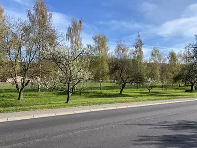 Hargarten aux Mines 57550 Achat / Vente terrain
