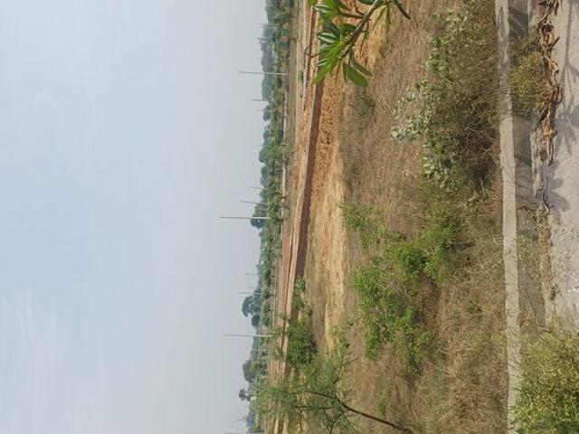 Harit City 100 Sq.Yd. Plot in Jewar Greater Noida Listing ID: #10180