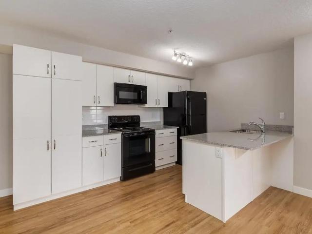 Harmony 2 Bedroom Apartment for Rent at 16517 55 St Nw, Edmonton, AB T5Y 3S8 Hollick Kenyon