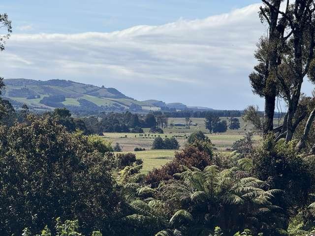 Harrington Mill Road, Tahakopa, Clutha
