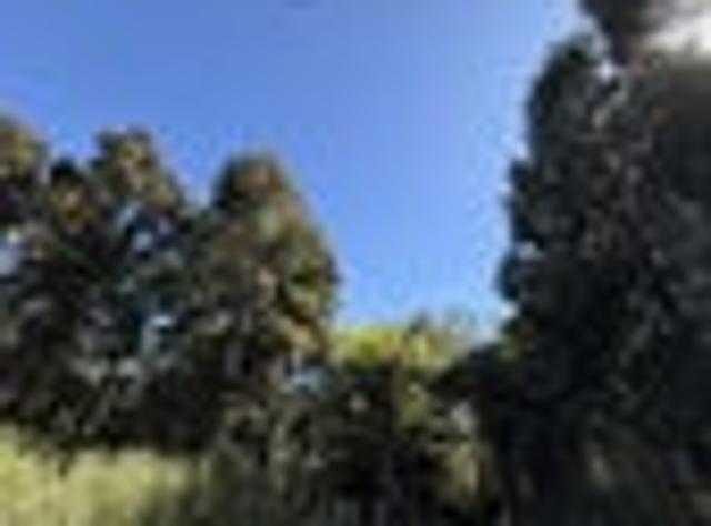 Harrington Heights