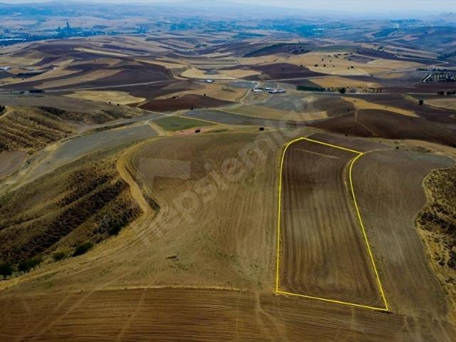 HASANOĞLAN da 5,893.49 m2 tarla