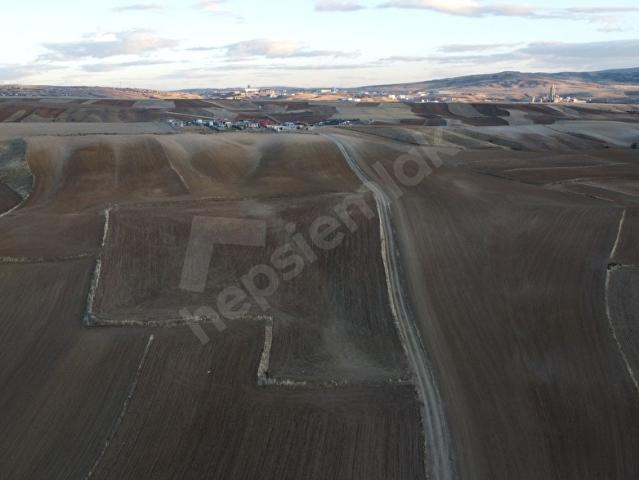 HASANOĞLAN şehitlik mah.13,341 m2 tarla
