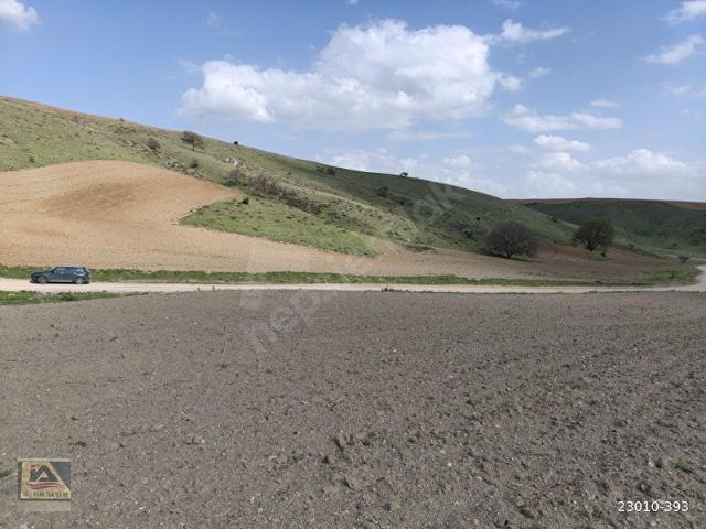 HASANOĞLANDA 1834M2 TEKTAPU UYGUN FİYATA ARAZİ