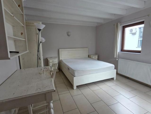 HASDEU RESIDENCE: apartment for rent in Cluj Napoca, near the University of Medicine and Pharmacy and the University of Agricultural Sciences and Veterinary Medicine, consisting of one big and bright room, kitchen, bathroom and balcony