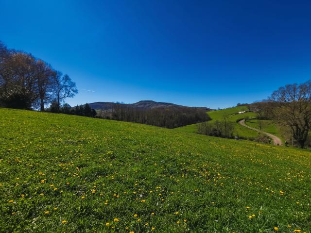 Hasparren Vente Terrain 64