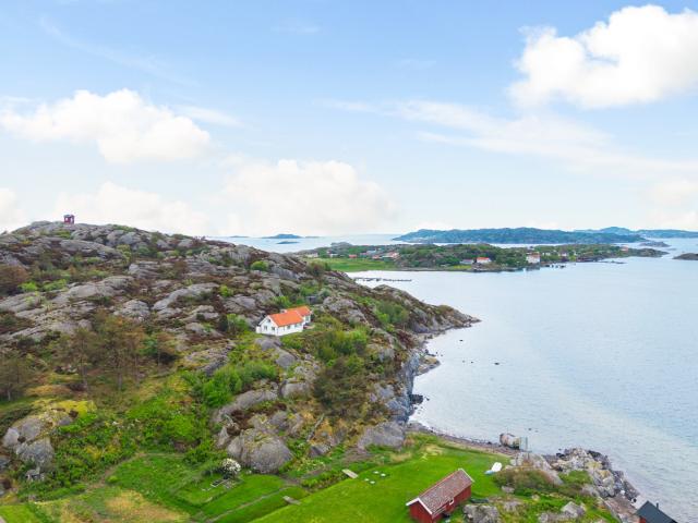 Hättan 50