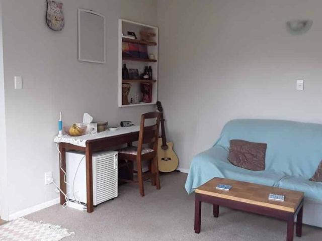 Hataitai 1 Double Bdr Flat optional Free WiFi