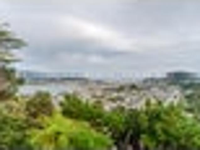 Hataitai, 2 bedrooms, $485 pw